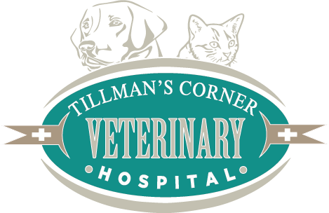 Tillman's Corner Veterinary Hospital